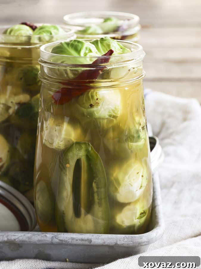 Zesty Brussels Delights 3 A close-up of vibrant Pickled Brussels Sprouts in a jar, showcasing their crisp texture and enticing color.