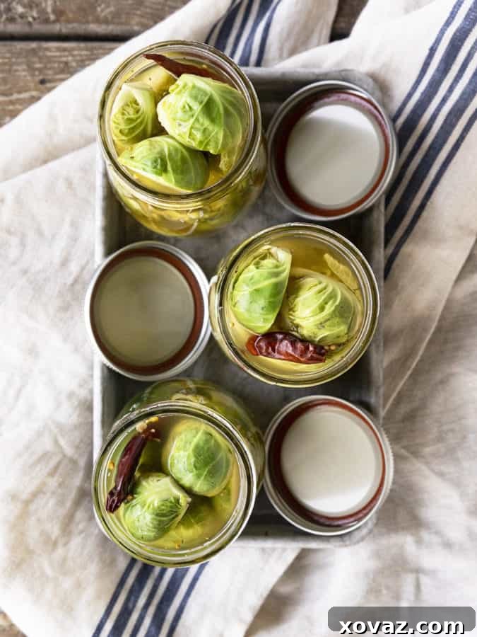 Zesty Brussels Delights 4 Assortment of fresh ingredients, including garlic, jalapeños, and spices, used for pickling Brussels Sprouts.