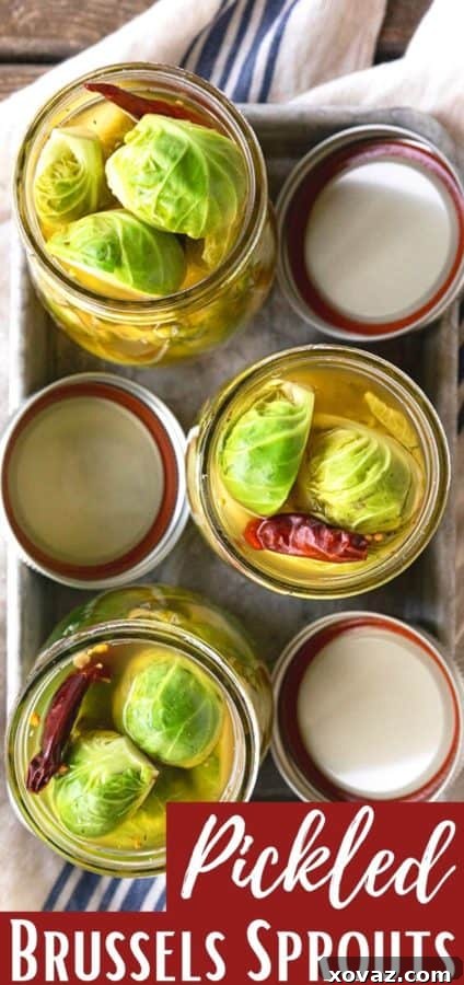 Zesty Brussels Delights 6 Another appealing shot of Pickled Brussels Sprouts, highlighting their delicious appearance and readiness to serve.