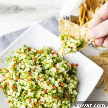 Pickle de Gallo - Dill Pickle Salsa
