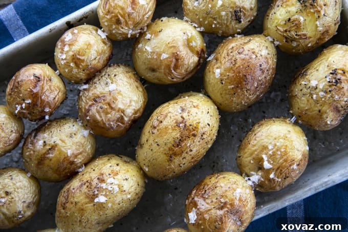 Smoky Grilled Potatoes 2 Perfectly grilled baby potatoes, golden brown and lightly charred, served as a delicious summer side dish.