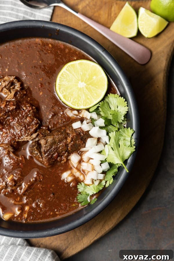 Effortless Instant Pot Birria 2 Rich and flavorful Instant Pot Birria de Res in a bowl, ready to be served.