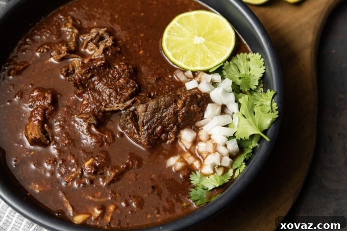 Effortless Instant Pot Birria 5 A bowl of delicious Instant Pot Birria with cilantro and lime.