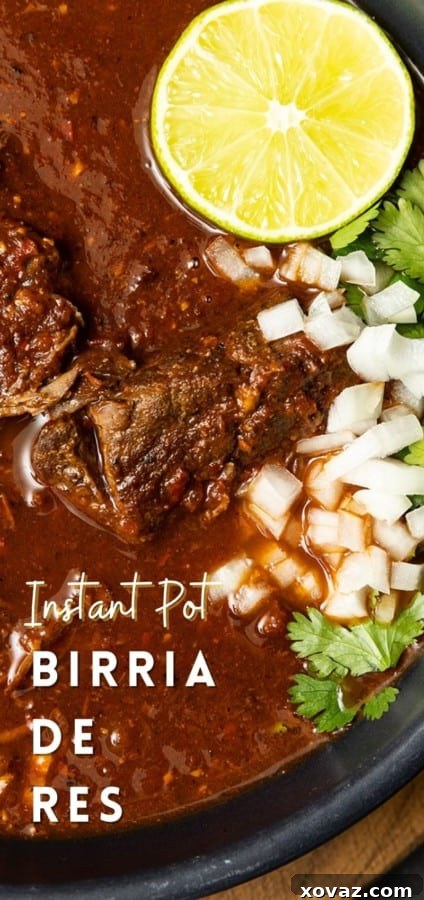 Effortless Instant Pot Birria 9 A top-down view of Instant Pot Birria, garnished with fresh cilantro and onions.