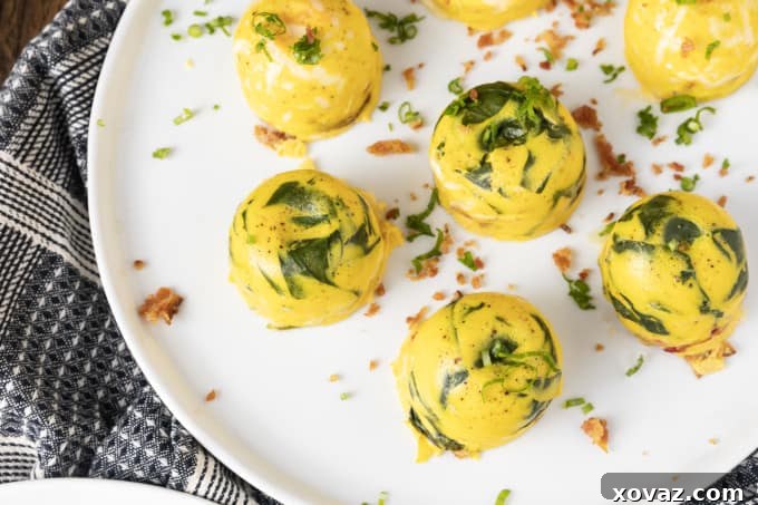 Creamy Instant Pot Egg Morsels 3 Essential Instant Pot Egg Bites base ingredients, including eggs, cottage cheese, and seasonings, ready for blending.