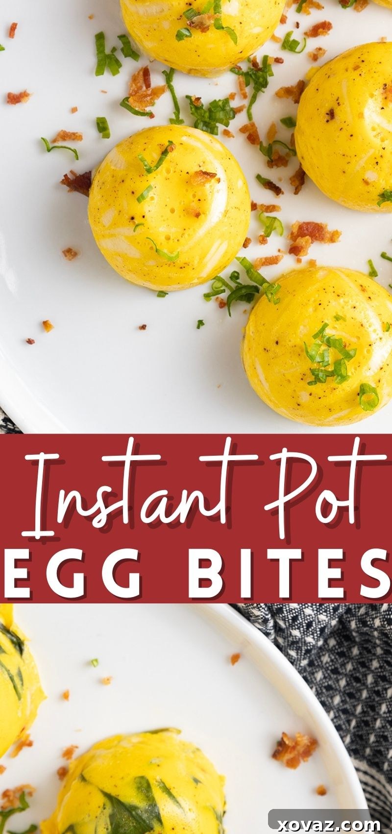 Creamy Instant Pot Egg Morsels 7 A selection of customizable Instant Pot Egg Bites with various delicious mix-ins, perfect for any meal.