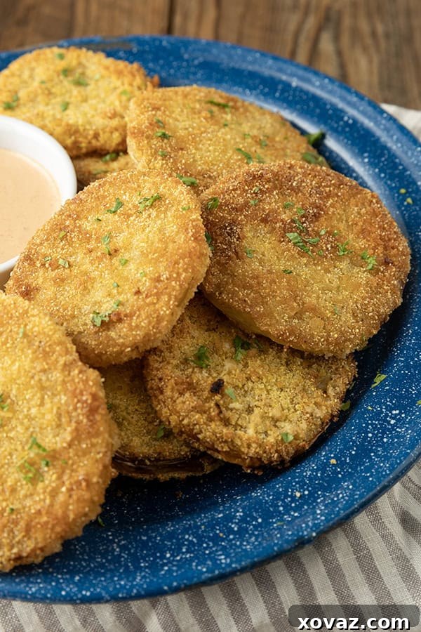 Crispy Air Fryer Fried Green Tomatoes 3 fried green tomatoes stacked on a blue enamel plate with a bowl of dip