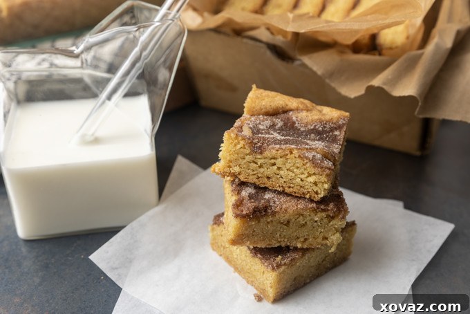 Cinnamon Sugar Snickerdoodle Bars 2 Delicious snickerdoodle cookie bars served with a glass jar of milk, highlighting their golden-brown edges and cinnamon sugar topping.