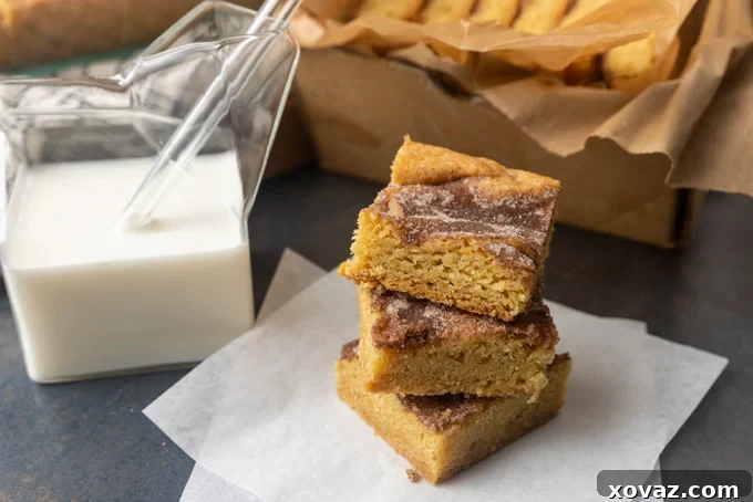 Cinnamon Sugar Snickerdoodle Bars 3 Close-up of snickerdoodle cookie bars with a glass jar of milk, showing the moist interior and cinnamon dusting.
