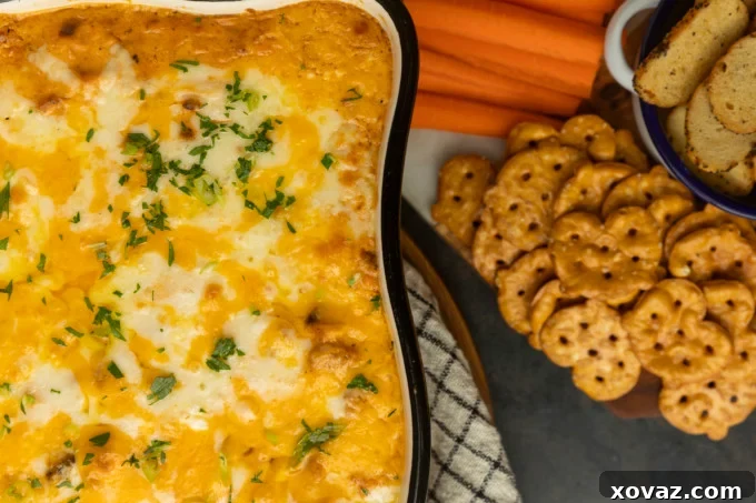 Buffalo chicken dip with crackers and carrots.