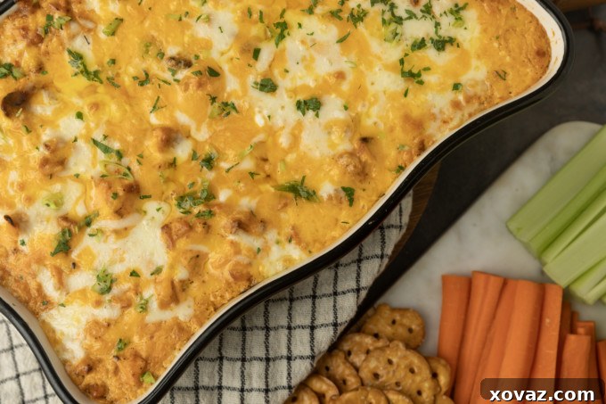 Buffalo chicken dip with crackers and carrots.