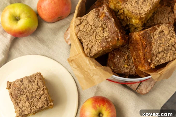 Classic Apple Streusel Coffee Cake 2 Delicious Apple Coffee Cake with a crumb topping, sliced and ready to serve on a plate and in its baking tin.