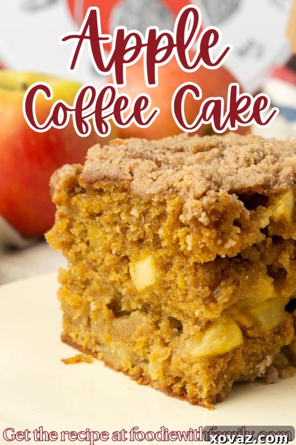 Classic Apple Streusel Coffee Cake 7 A beautifully baked Apple Coffee Cake with a golden crumb topping, photographed from above.