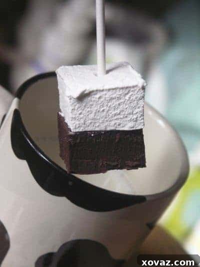 Mug Melt Hot Chocolate Sticks 2 Delicious Hot Chocolate on a Stick with a wooden spoon, ready to melt into a hot beverage