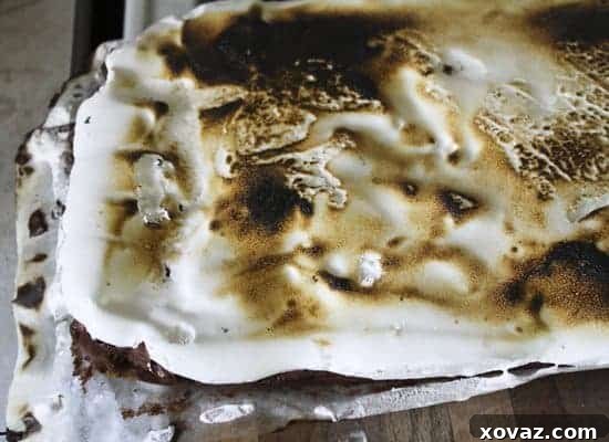 Delicious S'Mores Brownies with toasted marshmallow topping, perfect for summer gatherings