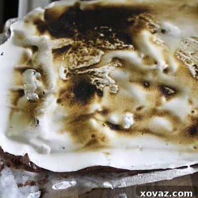 S'Mores Brownies with Homemade Marshmallow Fluff