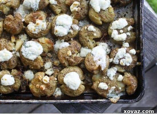 Gorgonzola Crash Hot Potatoes Delicious Crash Hot Potatoes with melted Gorgonzola cheese on a baking sheet, ready to serve.