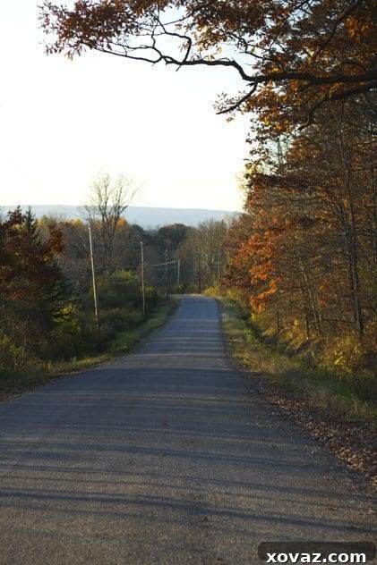 A serene winter forest scene, reminiscent of Robert Frost's poem