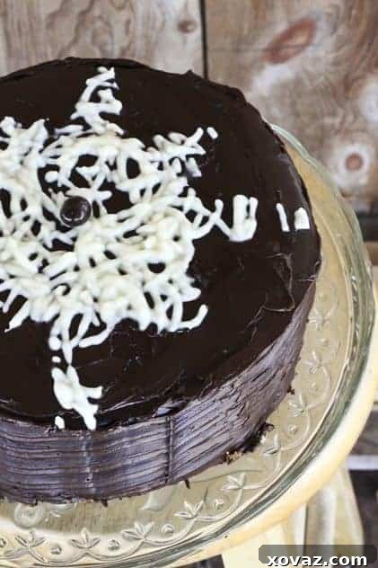 Close-up of a slice of moist chocolate vanilla swirl cake, beautifully frosted with dark chocolate ganache.