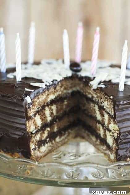 Decadent Chocolate Vanilla Swirl Layer Cake with Ganache, a perfect birthday treat.