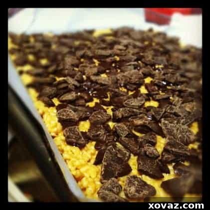 Close-up of Peanutty Crispy Bars being spread with melted dark chocolate, creating a glossy finish.