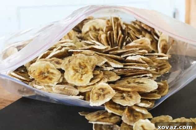 A close-up of golden-brown nutmeg banana chips, perfectly dehydrated and ready to eat.
