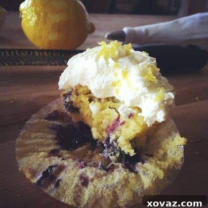 Blueberry Lemon Cupcake Closeup of a Freshly Baked Blueberry Lemon Cupcake