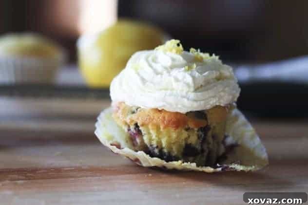 Blueberry Lemon Cupcakes with Whipped Cream