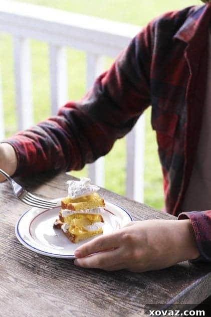 Several glasses of layered lemon-lime parfaits, garnished with lime slices and mint sprigs.