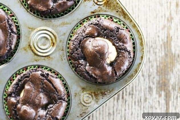 Freshly baked fudgy brownie cupcakes, ready for their chocolate topping.