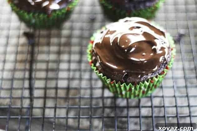 Finished fudgy peanut butter cup brownie cupcakes with set dark chocolate topping.