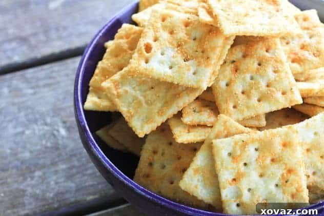 Make Ahead Amish Flavorful Crackers 2 Seasoned Snack Crackers Recipe