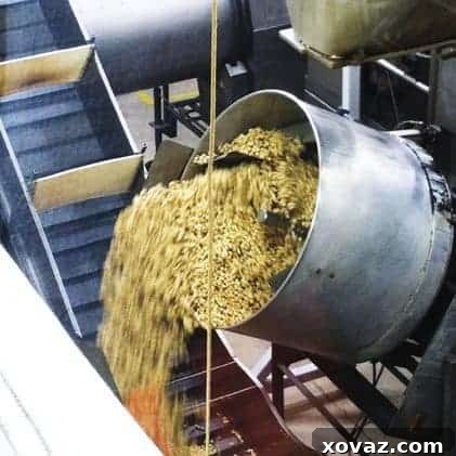 Wine tasting in Southern Oregon Wine tasting in progress at a beautiful Ledger David Vineyard, with glasses and bottles on a rustic table