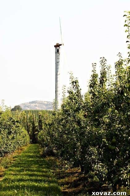 Orchard frost fan safeguarding the harvest A large frost fan standing tall in the Harry & David pear orchards, protecting fruit trees from cold weather